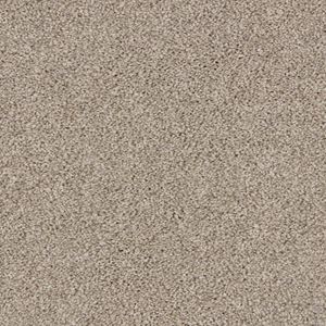 Elliston Alta Gray Plush Carpet Product Swatch Image