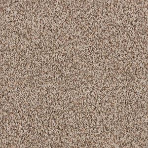 Alderbrook Arbor Multi Plush Carpet Product Swatch Image