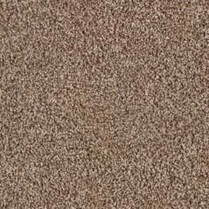 Alderbrook Ascent Brown Plush Carpet Product Swatch Image