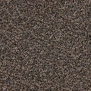 Harmony Heights Amity Black Plush Carpet Product Swatch Image