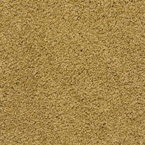 Pendleton Almond Silk Beige Plush Carpet Product Swatch Image